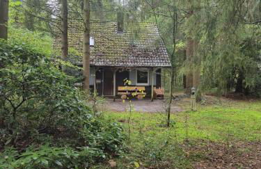 Idyllisch & ruhig - gemütliches Ferienhaus im Wald Hunde willkommen, in Hatten, nahe Oldenburg - Foto 54