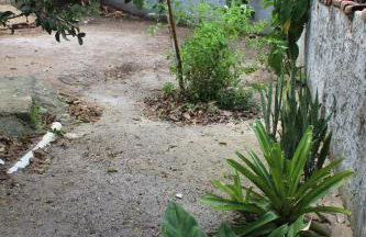 Casa Passarinhos - Foto 17