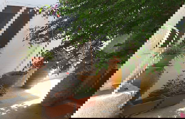 Guest House Salentojoy - Foto 17