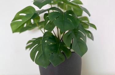 Penthouse in the center - Foto 21