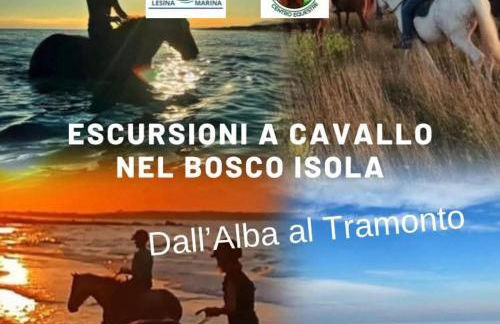 Casa Vacanze Mare Gargano Puglia Marina Di Lesina - 4g min - Foto 36