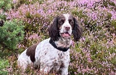 Room with a view - Foto 54