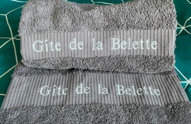 Gîte de la Belette_Montagne de La Bresse - Foto 32