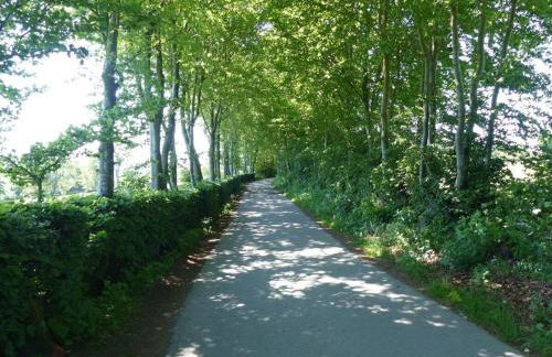 EifelNest Comfortable - Photo 31