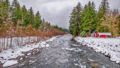 NEW: Steps from White River near Mount Rainier National Park - Foto 5