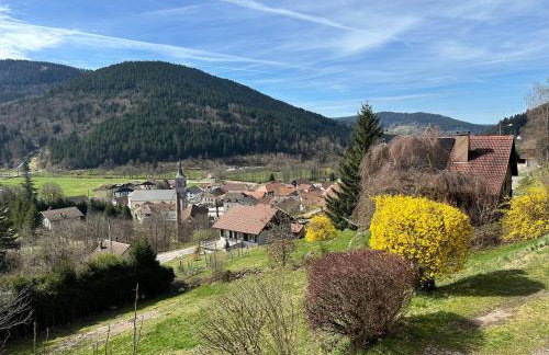 L'Orpin Givré - Chalet Caucalide avec grande terrasse, cheminée et sauna - Foto 30