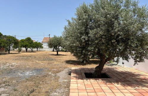 Villa Morena Saltwater Pool & Alentejo Charm - Foto 28