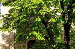 GITE AU COEUR DES GORGES DU VERDON - Foto 27