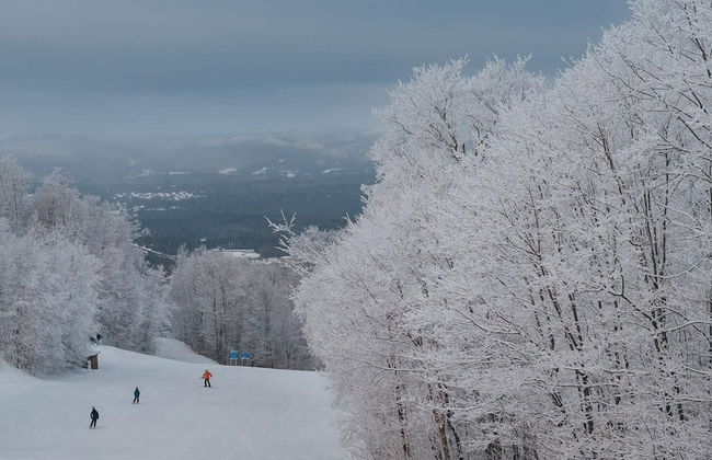 Le M Sangeai Citq 300267 - Foto 11