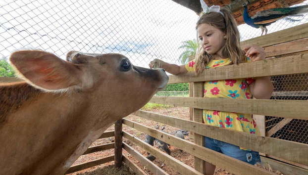 Ingresso do Bio Park com guia - Foto 4, Interagindo com os animais