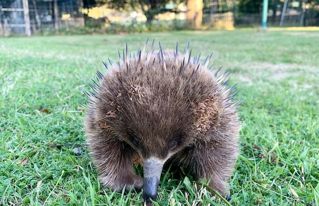 Giants Table and Cottages - Foto 53