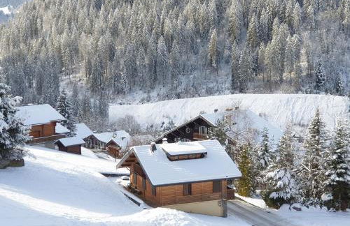 Chalet le Petit Ramoneur - Foto 51