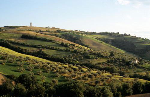 Agriturismo Tenuta Santa Maria - Foto 12