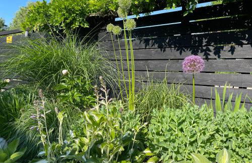 Weberhof - Münster 5 - Foto 61