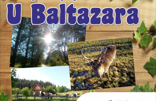 Agroturystyka U Baltazara - Foto 13