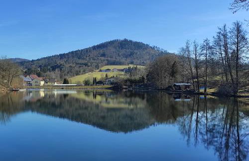 "BayernWald 201" Ferienwohnung mit Pool und Sauna - Foto 37