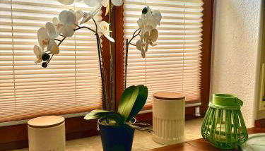 Savor Appartement Bergblick für 6 Personen - Foto 4