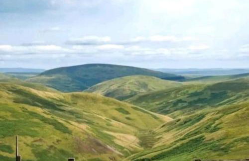 Delightful cosy shepherd's hut at Victorian Station - Foto 23