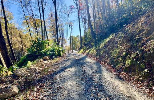 Creek side Mountain Perfect for Families ,We are just 5 to 7 minutes from the entrance of Pisgah Forest, where you ll find many rivers and waterfalls - Foto 43