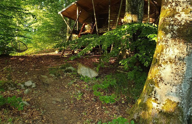 Timmerkoja på Österlen - Foto 18