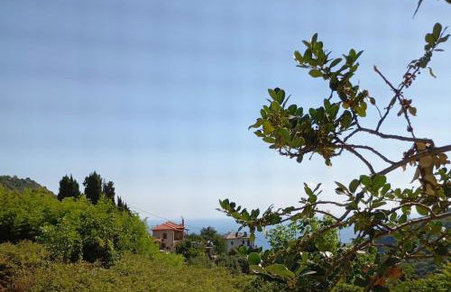 Stone and Serenity Cottage - Foto 26