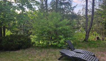 Rykowisko - domki całoroczne nad jeziorem i rzeką - Foto 3