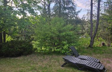 Rykowisko - domki całoroczne nad jeziorem i rzeką - Foto 3