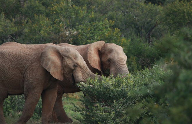 Uplands Homestead - Photo 26