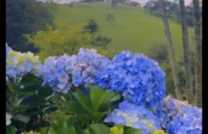 Chácara Favo de Mel - Foto 2