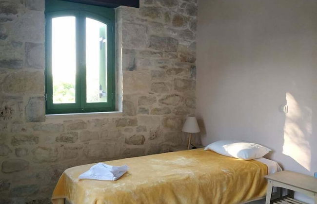 Vamos Fabrica Farm - Foto 13