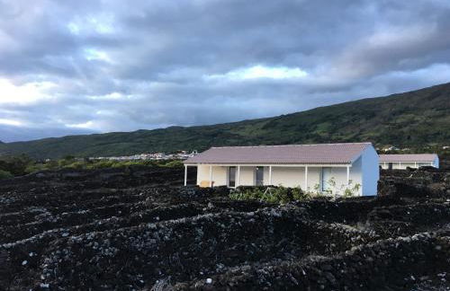 Insula Vinus Apartments - Photo 27