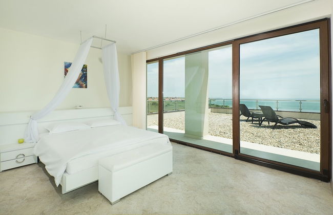 Calithea Complex - Photo 9