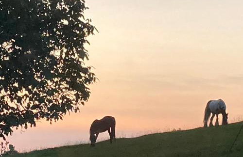 Lavender cottage - Foto 16