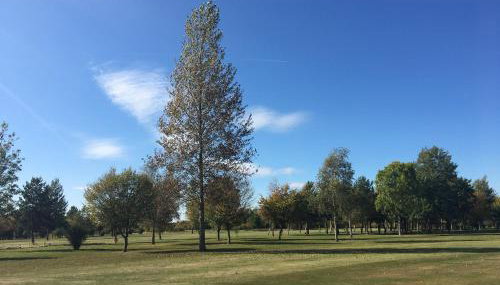 Silverstone Golf Club And Hotel - Foto 5, Garden