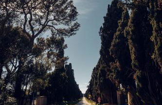 Bolgheri Countryhouse - Foto 27