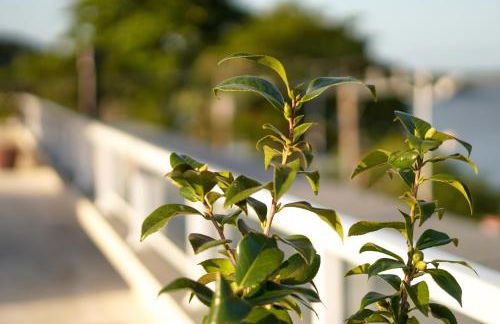 Costa Solar Lagoa - Foto 78