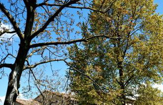 Agriturismo Ca' Roer - Foto 112