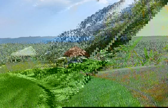 Bali De Pardis Cottage - Foto 43