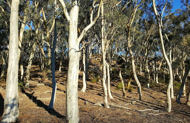 Maya Sanctuary - Foto 74