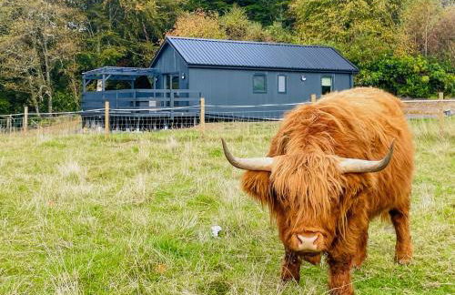 Riverview Lodge - Foto 13