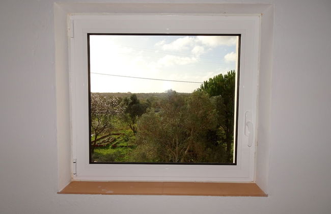 CIP V8 Gold - New!!! - Foto 48