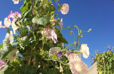Gite 1er Cru - La Loubertine - Foto 38
