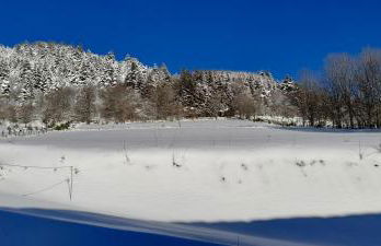 Chez Nave au pied du Meygal - Foto 45