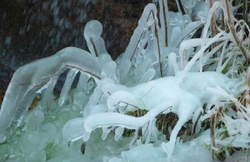 Wolfs Ferienhaus - Natürlich Eifel - Foto 42