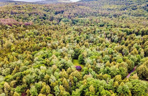 Lost Pond Cabin - Foto 29