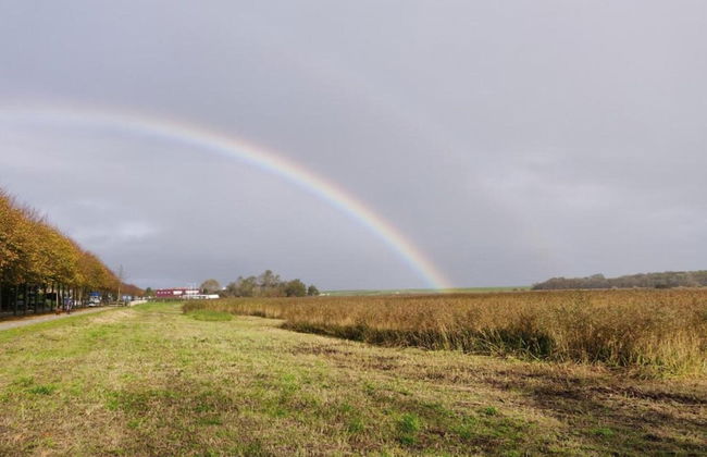 Traditional Villa With two Bathrooms on Texel Near the Sea - Foto 29