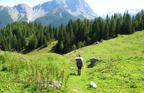 AGRITURISMO MASO PERTENER -adults friendly- - Foto 24