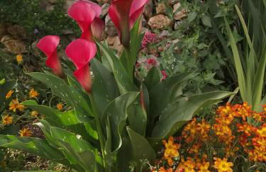 Da Mario & Marianna - Foto 8