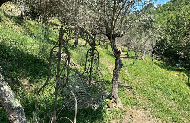 tenuta castel dell'aquila - Photo 46