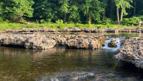 Murphys Law Inn 5 - Foto 3